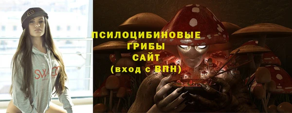 тгк Инта