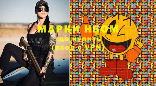спиды Инсар