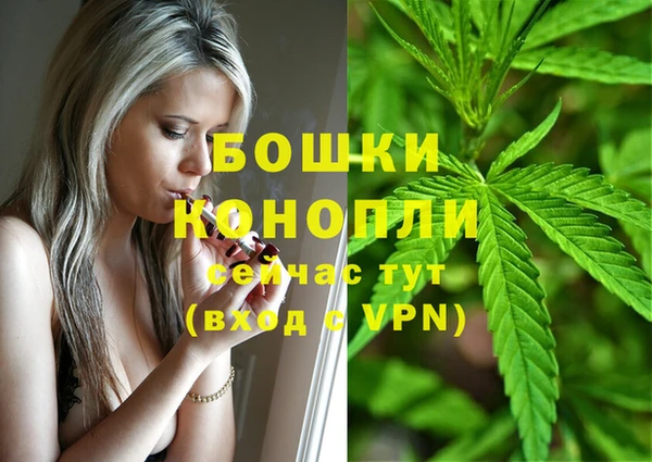 тгк Инта