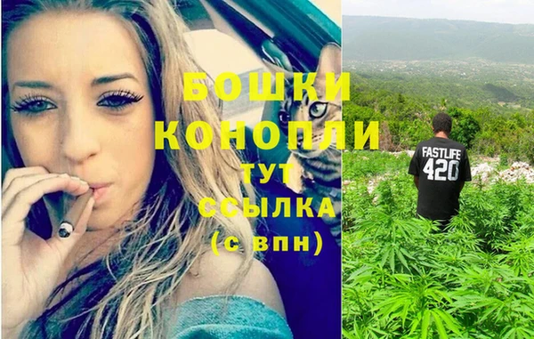 тгк Рославль