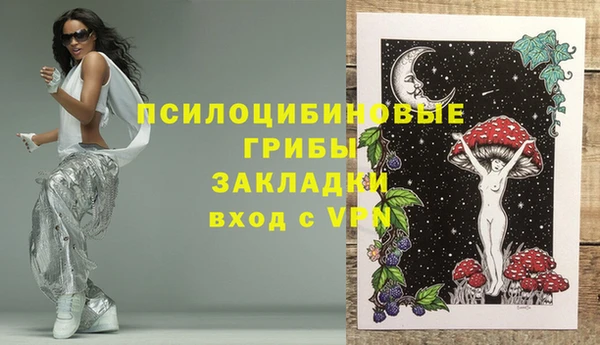 тгк Инта