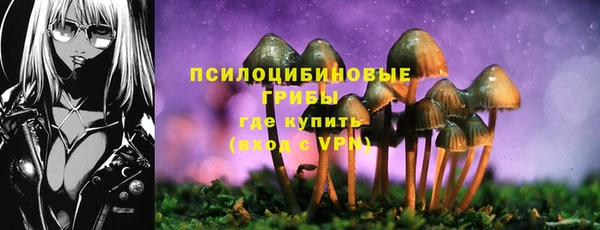 тгк Инта