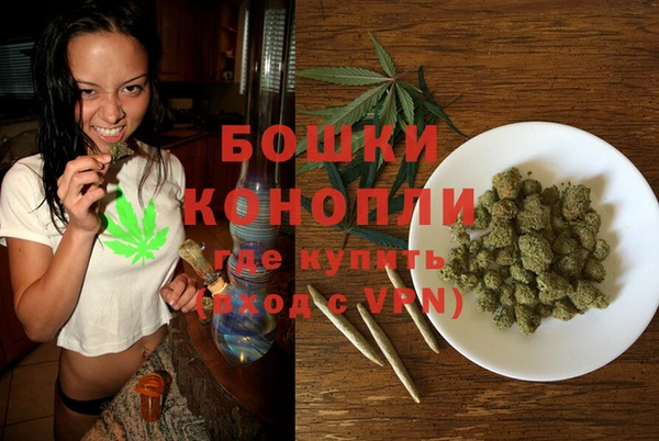 тгк Рославль